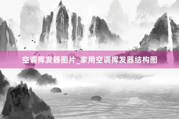 空调挥发器图片_家用空调挥发器结构图
